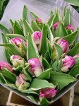 [Test 2006_0216Image0014.JPG]